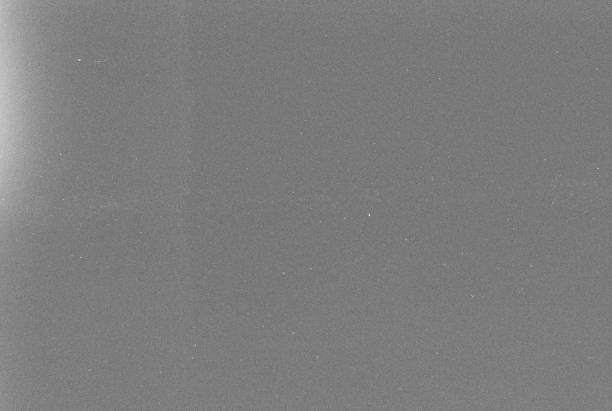 Real 400 Iso Black and white film grain scan background