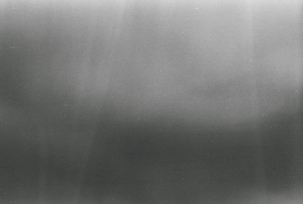 Real 400 Iso Black and white film grain scan background