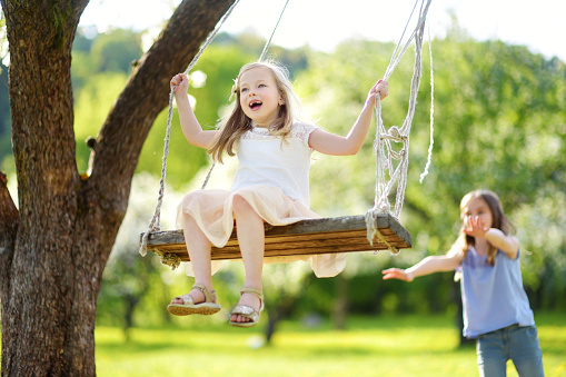 Two cute sisters having fun on a swing in blossoming old apple tree garden outdoors on sunny spring day. Spring outdoor activities for kids.