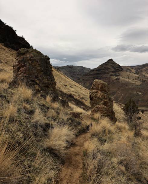 istock Twin Rock Pillars on Blue Basin Trail 1483177072