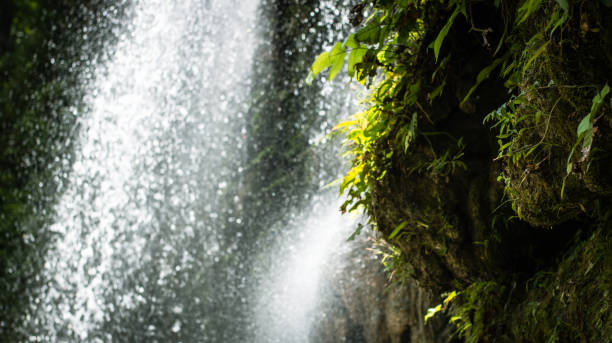 istock water flow at the waterfall on a sunny day, Pahangog Falls 1483177092