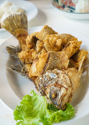 Fried Fish with Fish Sauce in Thai Food