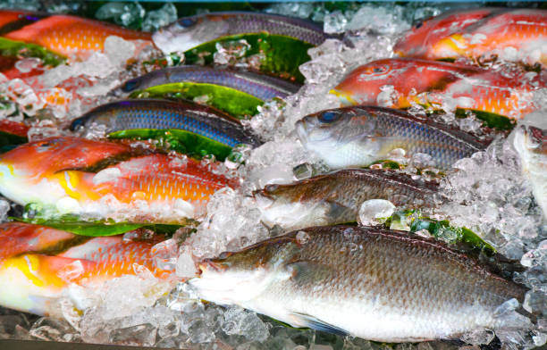 istock a seafood stall with fresh fishes 1483183640