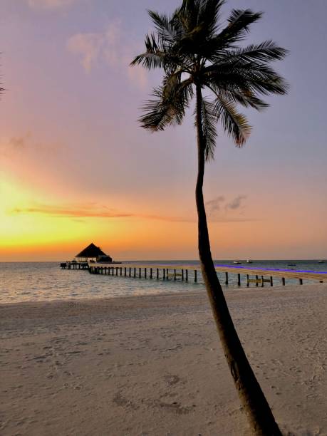 istock Sunset over the Indian Ocean 1483189382