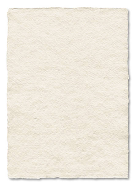 istock Natural art paper texture. Parchment background isolated on white 1483191302