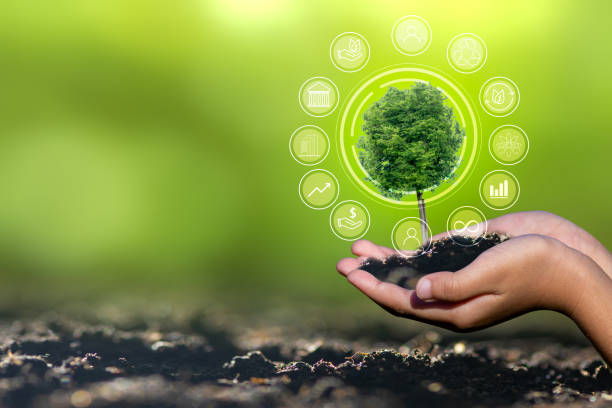 istock Renewable energy concept Earth Day or environment protection Hands protect forests that grow on the ground and help save the world. 1483192100