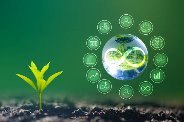istock Renewable energy concept Earth Day or environment protection Hands protect forests that grow on the ground and help save the world. 1483192108