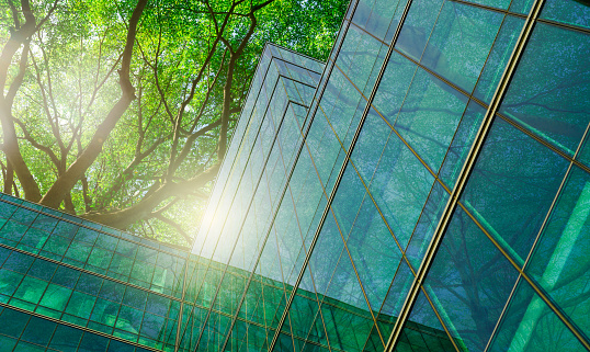 istock Sustainble green building. Eco-friendly building in modern city. Sustainable glass office building with tree for reducing carbon dioxide. Office with green environment. Corporate building reduce CO2. 1483193362
