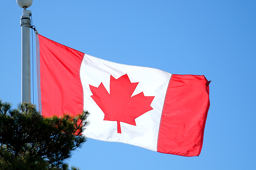 A close shot of the flag of Canada being illuminated by the sun, flying in the wind under the blue sky. High quality 4k footage