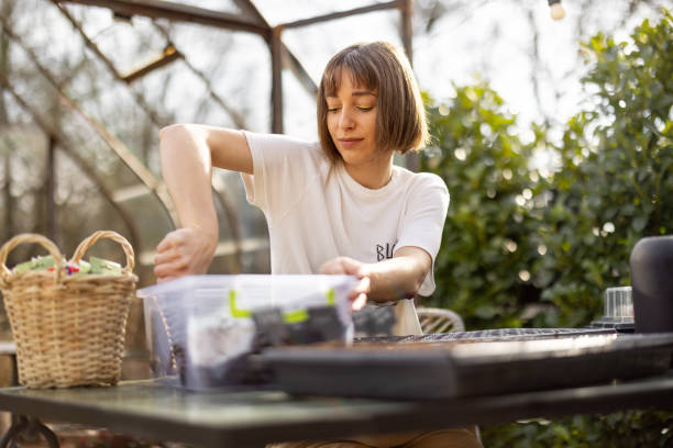 istock Young gardener planting flowers into seedling trays 1483194822