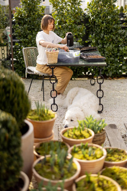 istock Woman sowing flower seeds at backyard 1483194913