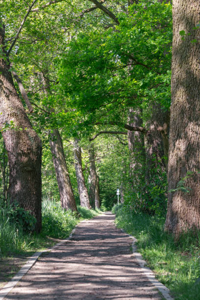 The paths through this river valley are popular for walking.