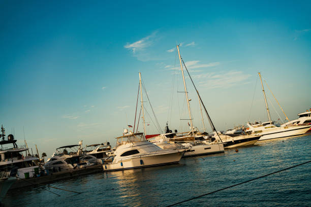 Secure mooring for boats in a quiet marina.
