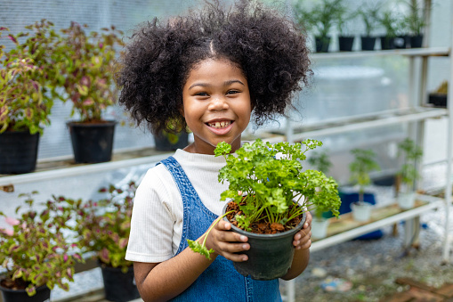 Portrait of African kid is choosing vegetable and parsley herb plant from the local garden center nursery with summer plant for weekend gardening and outdoor
