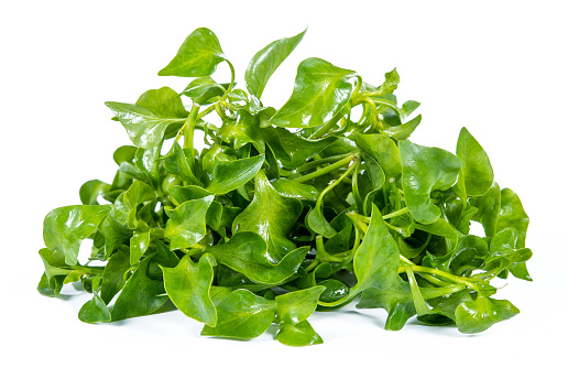 watercress isolated on white background with clipping path