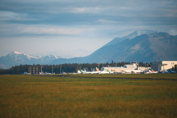 istock Airplane Landing On An Idyllic Airport 1483202937