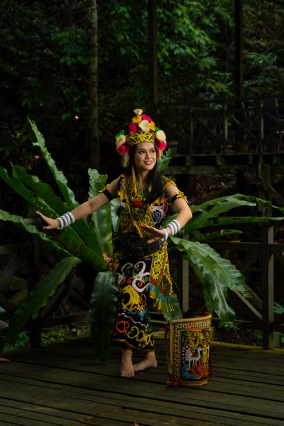 uma senhora de bornéu mostrando a beleza de sua cultura através de suas deslumbrantes roupas tradicionais - iban tribe - fotografias e filmes do acervo