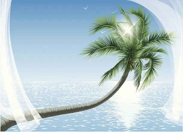 Vector illustration of Palmtree Ocean Sun and Transparent Curtains