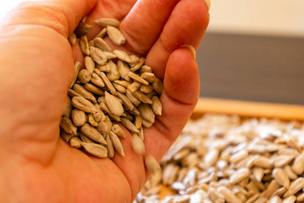 istock sunflower seeds pile close up 1483205377