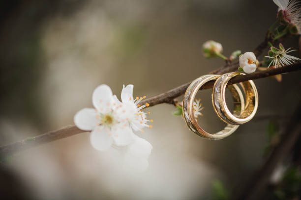 istock Wedding rings and fresh blossoming tree branch 1483205503