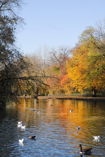 istock Autumn view at Platt Field Park, Manchester 1483208991