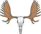 istock Moose Skull Color 1483209608