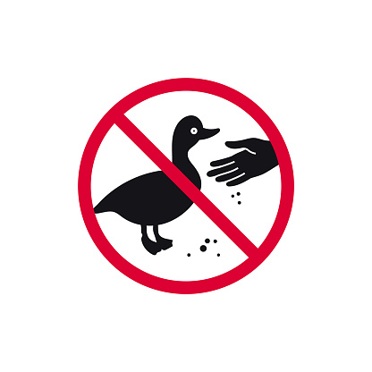 Do not feed birds prohibited sign, don't feed the ducks forbidden modern round sticker, vector illustration.