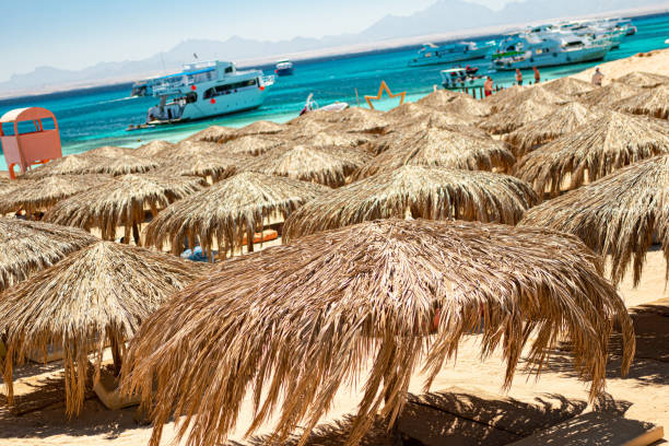 istock there are many sunshades on the beach. minimalistic beach landscape 1483211678
