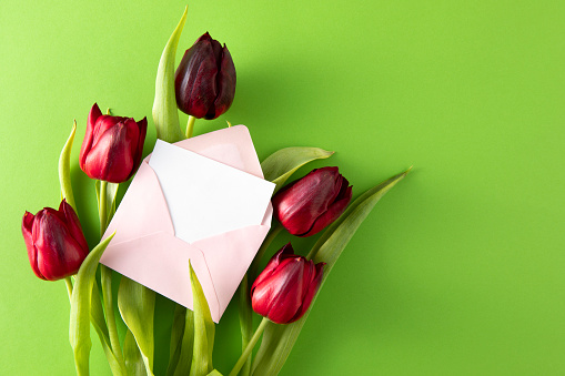 Mother’s day concept with tulips and empty greeting card