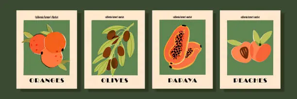 Vector illustration of Retro-style exotic fruit art print, vegan, vegetarian food, 1920s kitchen poster set. Papaya, peaches or apricots, olives, oranges interior decoration. Illustrated vector banners.