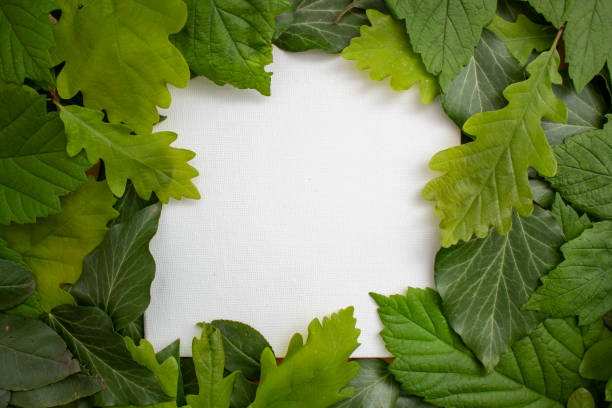 istock Creative layout made of leaves with paper card note. Flat lay. Nature concept. Minimal summer abstract jungle or forest pattern. 1483218862