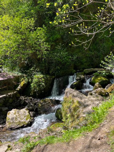 istock Waterfall in nature, tourists in nature 1483218928