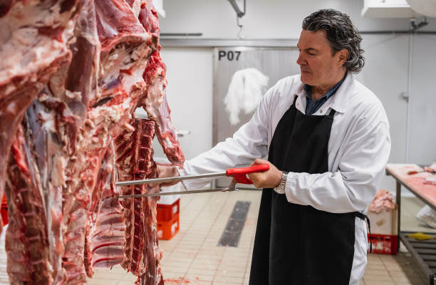 istock Meat industry slaughterhouse and food processing 1483220881
