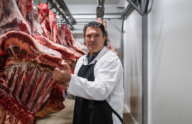 istock Meat industry slaughterhouse and food processing 1483221003