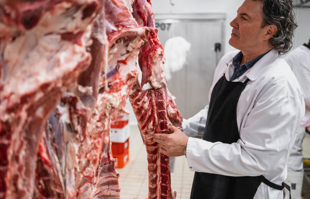 istock Meat industry slaughterhouse and food processing 1483221023