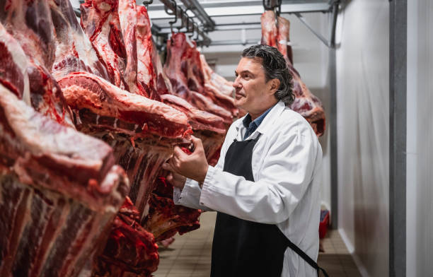 istock Meat industry slaughterhouse and food processing 1483221067