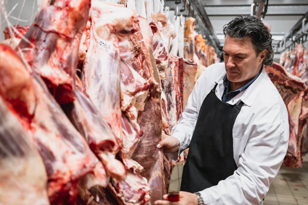istock Meat industry slaughterhouse and food processing 1483221137