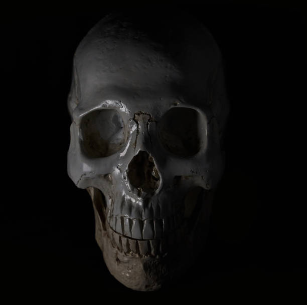 istock white skull in dark or black on a background 1483221161