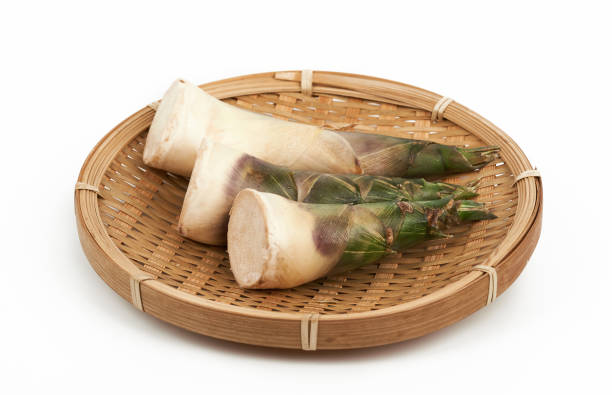 słodki pęd bambusa w drewnianej płycie izolowanej na białym tle. pęd słodki lub korzeń bambusa w drewnianej płycie izolowanej na białym tle - bamboo bamboo shoot green isolated zdjęcia i obrazy z banku zdjęć