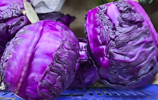 Purple cabbage or Rode Kool or Suitkoll or Chou Cobus or Kopfkohl or Red Cabbage