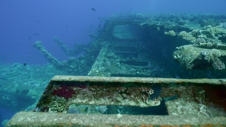 Deck grown with corals of ferry Salem Express shipwreck