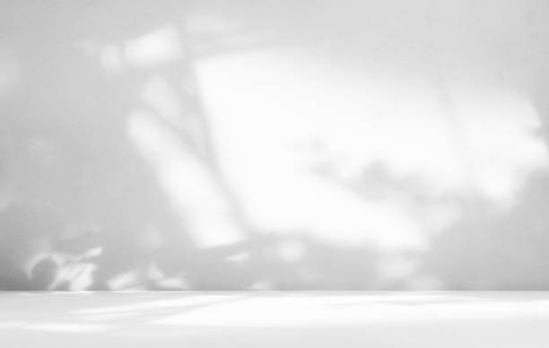 Shadow Studio Room Background,White Grey Wall Table Product,Light Overlay Leaf on Wall Floor Podium Loft Mockup Backdrop,Abstract Gradient  Stage Minimal Empty Gray Scene,Shelf Beauty Display Kitchen