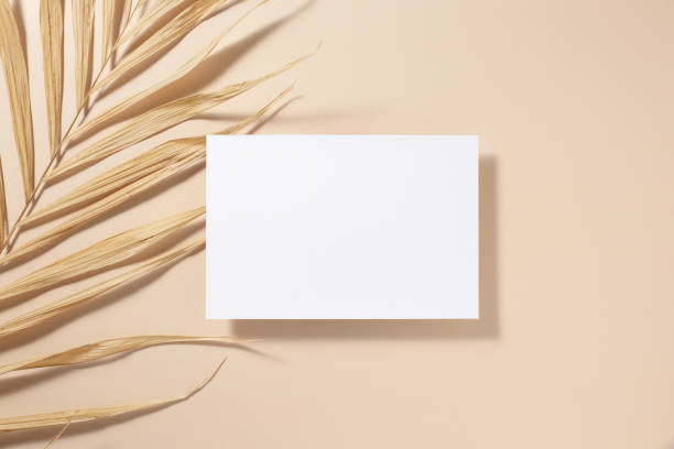 istock Empty white square poster or card mockup with palm leaves on beige background. Tropical light background. Flat lay. Copy space. 1483226755