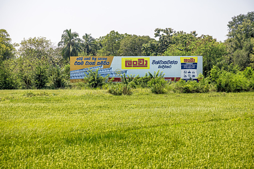 Uva Province, Sri Lanka - February 13th 2023:  View to farm buildings and advertisement seen behind a lush rice field