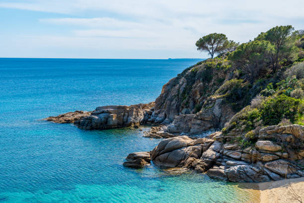 istock Coastline of beautiful Elba island in springtime 1483228325