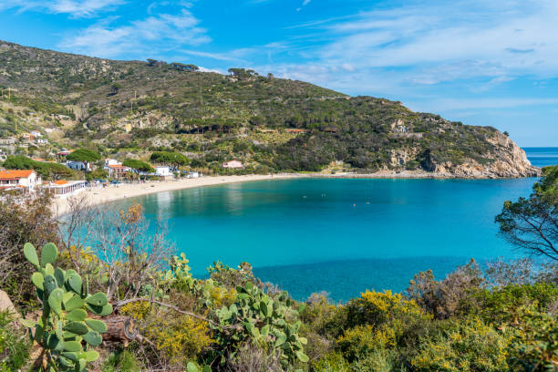 istock Coastline of beautiful Elba island in springtime 1483228333