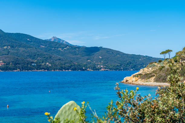 istock Coastline of beautiful Elba island in springtime 1483228629