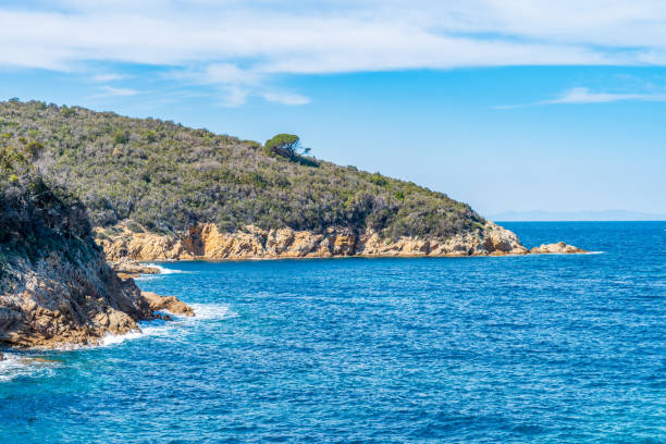 istock Coastline of beautiful Elba island in springtime 1483228751