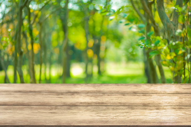 istock wooden table with forest bokeh background 1483228967