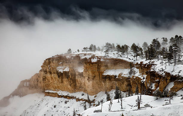 Bryce Canyon - foto de acervo